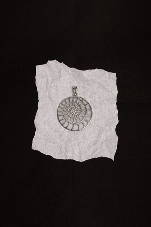 Fossil Fossil